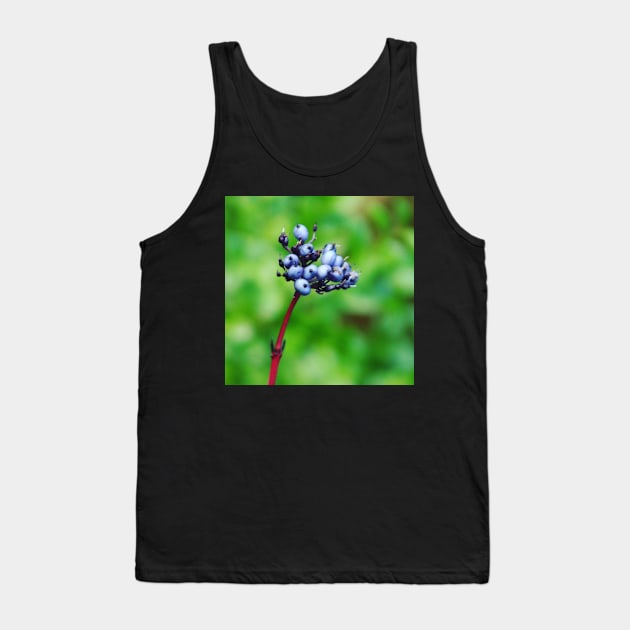 Autumn Berries Tank Top by Jonesyinc